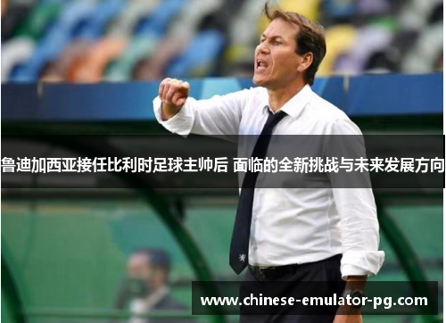 鲁迪加西亚接任比利时足球主帅后 面临的全新挑战与未来发展方向