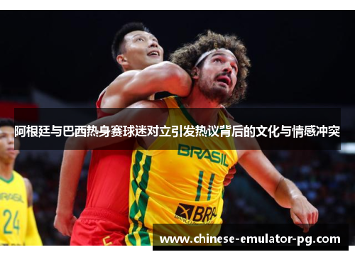 阿根廷与巴西热身赛球迷对立引发热议背后的文化与情感冲突
