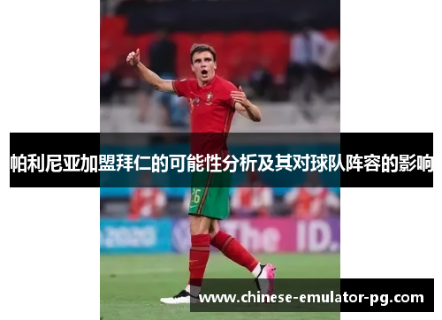 帕利尼亚加盟拜仁的可能性分析及其对球队阵容的影响