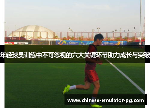 年轻球员训练中不可忽视的六大关键环节助力成长与突破