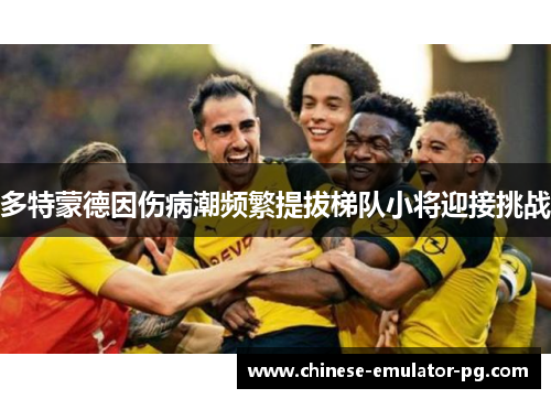 多特蒙德因伤病潮频繁提拔梯队小将迎接挑战 多特蒙德因伤病潮频繁提拔梯队小将迎接挑战