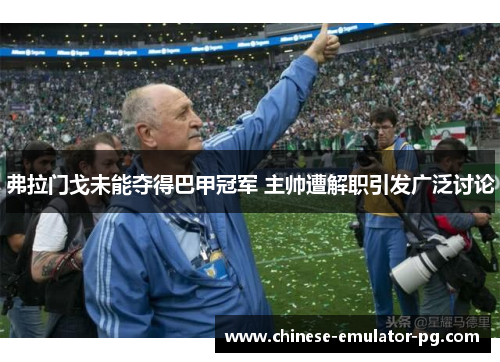 弗拉门戈未能夺得巴甲冠军 主帅遭解职引发广泛讨论 弗拉门戈未能夺得巴甲冠军 主帅遭解职引发广泛讨论