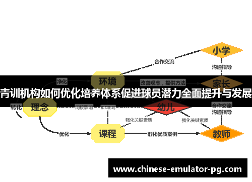 青训机构如何优化培养体系促进球员潜力全面提升与发展